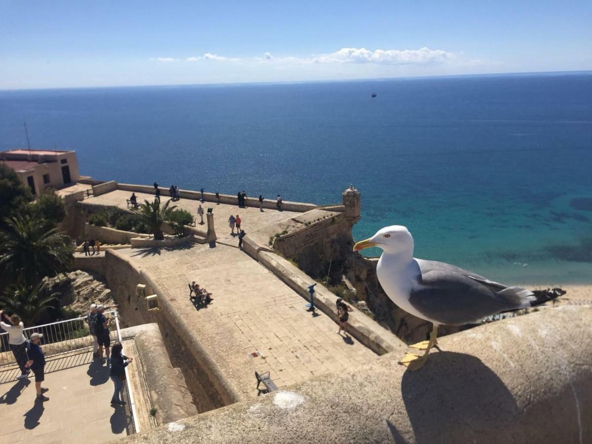Apartamento Centrico Castillo S. Barbara Alicante Eksteriør billede